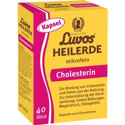Gelbe Packung mit Heilerdetabletten zur Unterstützung bei Cholesterinbindung und Verdauung.